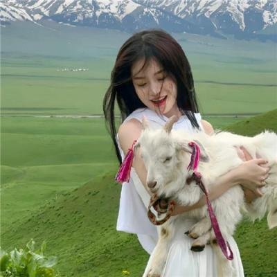 最后的科曼奇人 海报