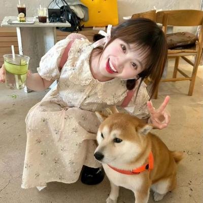 叵测 海报